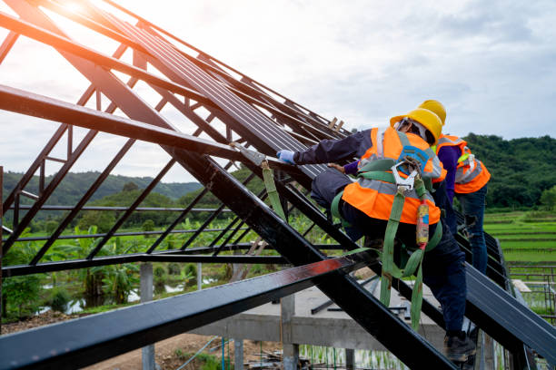 Best Roof Maintenance Services  in Long Beach, MD